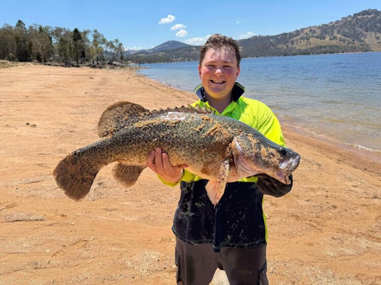 2025-01 Wyangala Dam